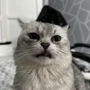 .thiswaze