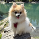 avatar 𝓈𝓃𝒶𝑔𝑔𝓎𝓁𝒾