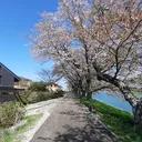 satoshiyagi
