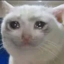 ziggymu6230