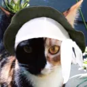 knxghtgxd_