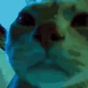 unbxode