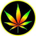 cardano420