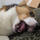 bucketttt