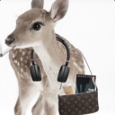 Discord Avatar