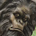 _duude