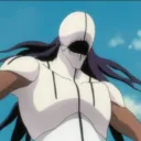 soulreaperdragonov