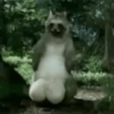 8 8