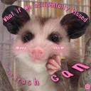 spookiesttrashpanda
