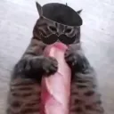 kuin7
