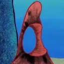 boofthebull