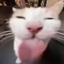 GUNDAM-07-HARUTE's Avatar