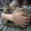 avatar Libelula_del_Mal