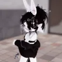 allenupy