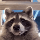avatar JollyBoOf