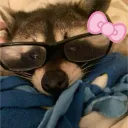 inott