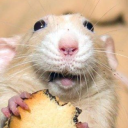 avatar 𝓶𝓲𝓵𝓸