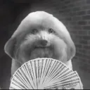 justinsideboys