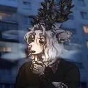 yourdeerestdeer