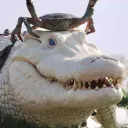 phantomfelix