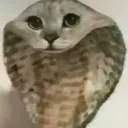 ludicrous6999 avatar