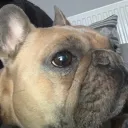 bradtheastroman