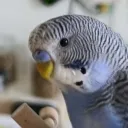 onnionny