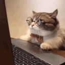 ragnar_ab