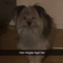 F4129c7ada9b3485a6d350689efbb7b8