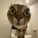 juhpeitl