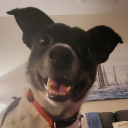 avatar schmüglbub 🦐