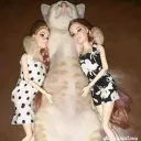 jackisdagoat