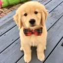 its_plush