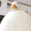 thiccduc