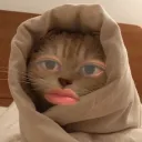 chocho1313
