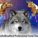 wolfofbradford