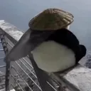 cloudspan
