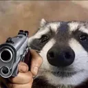 darceyt