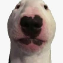 Nguyễn Thành Phong