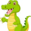 crocodile._
