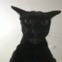 zhugodugo