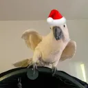 charlieee1