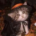 _strawberrykitty_