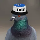 jnsorph
