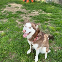 avatar KekeRiisktakerr