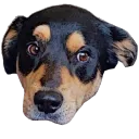 thefargasdeath