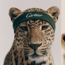 avatar 𝕯𝖔𝖒𝖈𝖗𝖚𝖃