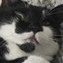 itapanda