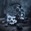 avatar ⏾𝔇𝔞𝔫𝔞݁ᛪ༙