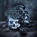 avatar ⏾𝔇𝔞𝔫𝔞⏾